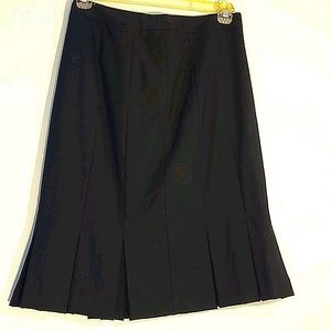 Lands End Skirt